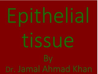 Epithelial
tissue
By
Dr. Jamal Ahmad Khan
 