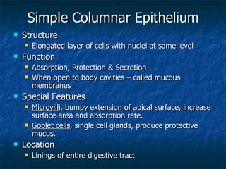 Simple Columnar Epithelium Structure Elongated layer of cells with nuclei at same level Function Absorption, Protection & Secretion When open to body cavities – called mucous membranes Special Features Microvill i, bumpy extension of apical surface, increase surface area and absorption rate. Goblet cells , single cell glands, produce protective mucus. Location Linings of entire digestive tract 