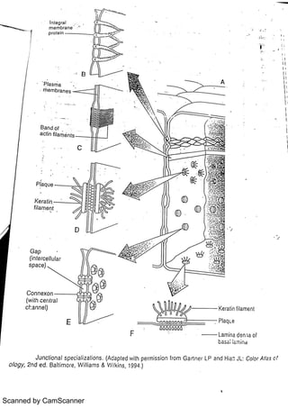 Scanned by CamScanner 
 