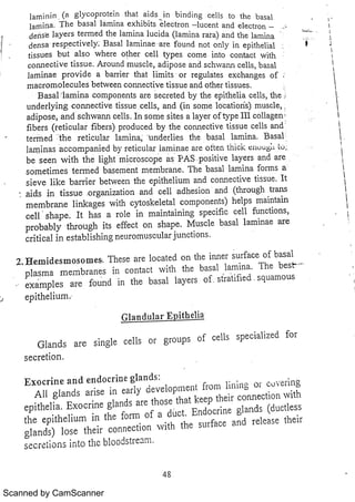 Scanned by CamScanner 
 