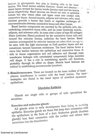 Scanned by CamScanner 
 