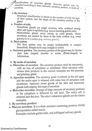 Scanned by CamScanner 
 