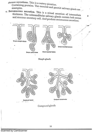 Scanned by CamScanner 
 