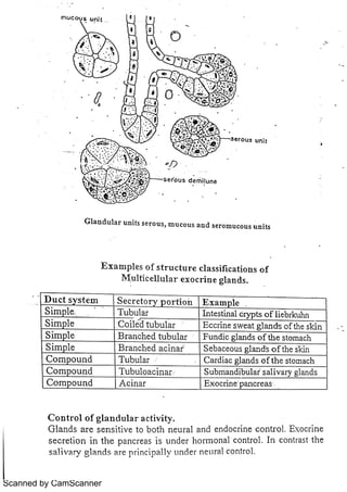 Scanned by CamScanner 
 