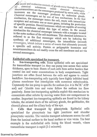 Scanned by CamScanner 
 