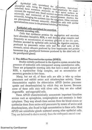 Scanned by CamScanner 
 