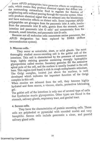 Scanned by CamScanner 
 