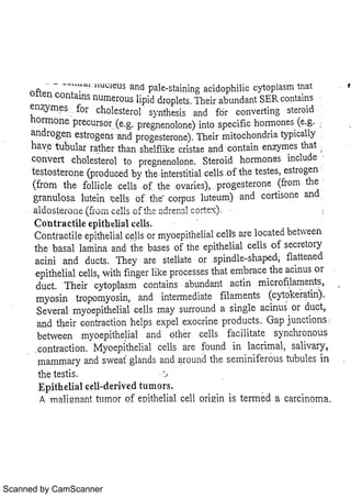 Scanned by CamScanner 
