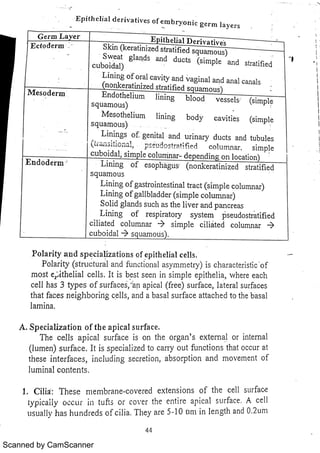 Scanned by CamScanner 
 