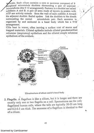 Scanned by CamScanner 
 