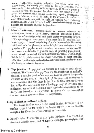 Scanned by CamScanner 
 