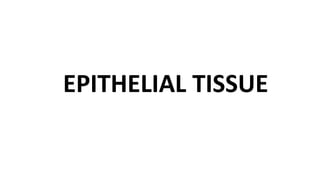 EPITHELIAL TISSUE
 