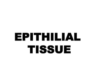 EPITHILIAL
TISSUE
 