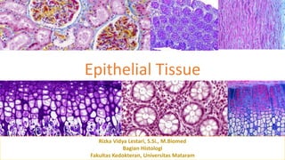 Epithelial Tissue
Rizka Vidya Lestari, S.Si., M.Biomed
Bagian Histologi
Fakultas Kedokteran, Universitas Mataram
 