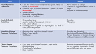 r Neetika Naudiyal
Name Location Function
Simple Squamous
Epithelium
• Lines the cardiovascular and lymphatic system where it is
known as endothelium
• Epithelial layer of serous membranes, where it is called
mesothelium
• Air sacs of lungs
• Glomerular capsule of kidneys
• Inner surface of eardrum
• Blood filtration in kidneys
• Diffusion of oxygen into blood vessels of
lungs
• Secretion in serous membranes
Simple Cuboidal
Epithelium
• Ovary surface layer
• Anterior surface of lens capsule of the eye
• Lines kidney tubules
• Secreting portion of glands like thyroid gland and ducts of
some glands like pancreas
• Secretion
• Absorption
Non-ciliated Simple
Columnar Epithelium
• Gastrointestinal tract (from stomach to anus)
• Ducts of many glands
• Gallbladder
• Secretion and absorption
• Lubrication of linings of different tracts
• Prevent destruction of stomach lining by
acidic gastric juice secreted by stomach
Ciliated Simple
Columnar Epithelium
• Lines some bronchioles of respiratory tract, uterine
(fallopian) tubes
• Central canal of spinal cord
• Brain ventricles
• Removal of mucus and foreign particles
• oocytes expulsion from ovaries through
uterine (fallopian) tubes into uterus
 