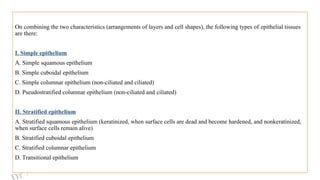 r Neetika Naudiyal
On combining the two characteristics (arrangements of layers and cell shapes), the following types of epithelial tissues
are there:
I. Simple epithelium
A. Simple squamous epithelium
B. Simple cuboidal epithelium
C. Simple columnar epithelium (non-ciliated and ciliated)
D. Pseudostratified columnar epithelium (non-ciliated and ciliated)
II. Stratified epithelium
A. Stratified squamous epithelium (keratinized, when surface cells are dead and become hardened, and nonkeratinized,
when surface cells remain alive)
B. Stratified cuboidal epithelium
C. Stratified columnar epithelium
D. Transitional epithelium
 