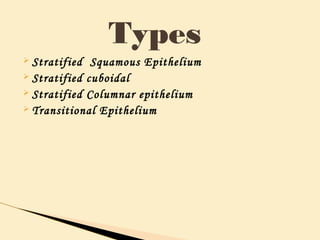 Ø Stratified Squamous Epithelium
Ø Stratified cuboidal
Ø Stratified Columnar epithelium
Ø Transitional Epithelium
Types
 