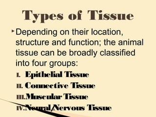 Depending on their location,
structure and function; the animal
tissue can be broadly classified
into four groups:
I. Epithelial Tissue
II. Connective Tissue
III.MuscularTissue
IV.Neural/Nervous Tissue
Types of Tissue
 