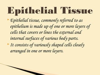  Epithelial tissue, commonly referred to as
epithelium is made up of one or more layers of
cells that covers or lines the external and
internal surfaces of various body parts.
 It consists of variously shaped cells closely
arranged in one or more layers.
Epithelial Tissue
 