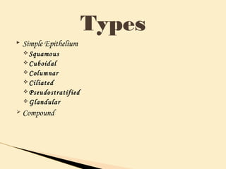  Simple Epithelium
vSquamous
vCuboidal
vColumnar
vCiliated
vPseudostratified
vGlandular
Ø Compound
Types
 