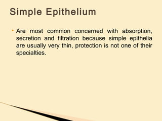  Are most common concerned with absorption,
secretion and filtration because simple epithelia
are usually very thin, protection is not one of their
specialties.
Simple Epithelium
 