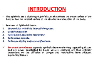 Def N EPITHELIAL TISSUE (defn, classification & functions;PDF.pdf