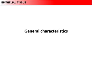 General characteristics
EPITHELIAL TISSUE
 