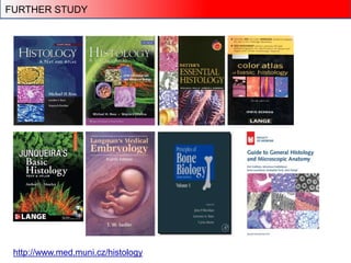 http://www.med.muni.cz/histology
FURTHER STUDY
 