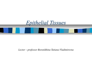 Epithelial Tissues
Lector – professor Boronikhina Tatiana Vladimirovna
 