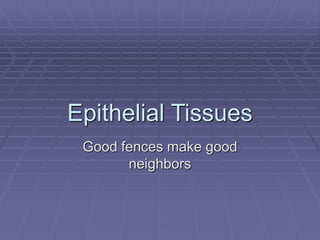 Epithelial Tissues
Good fences make good
neighbors
 