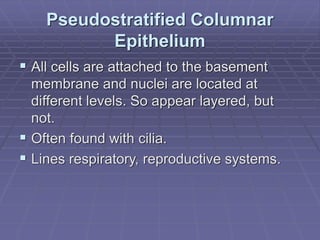 Pscc Epithelim Epithelial_Tissues.presentation (4) (1).pdf