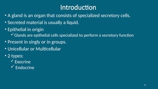 19
Introduction
• A gland is an organ that consists of specialized secretory cells.
• Secreted material is usually a liquid.
• Epithelial in origin
Glands are epithelial cells specialized to perform a secretory function
• Present in singly or in groups.
• Unicellular or Multicellular
• 2 types:
 Exocrine
 Endocrine
 