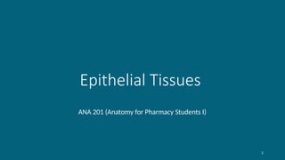 2
Epithelial Tissues
ANA 201 (Anatomy for Pharmacy Students I)
 