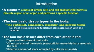 Introduction
• A tissue = a mass of similar cells and cell products that forms a
discrete region of an organ and performs a specific function
• The four basic tissue types in the body:
the epithelial, connective, muscular, and nervous tissue
o all these tissues exist and function in close association with one
another.
• The four basic tissues differ from each other in the:
Types and functions of their cells
Characteristics of the matrix (extracellular material) that surrounds
the cells
Relative amount of space occupied by cells versus matrix 3
 