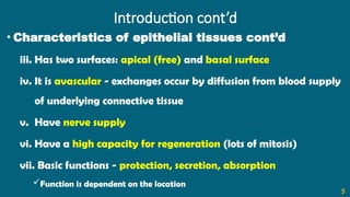 Introduction cont’d
• Characteristics of epithelial tissues cont’d
iii. Has two surfaces: apical (free) and basal surface
iv. It is avascular - exchanges occur by diffusion from blood supply
of underlying connective tissue
v. Have nerve supply
vi. Have a high capacity for regeneration (lots of mitosis)
vii. Basic functions - protection, secretion, absorption
Function is dependent on the location
5
 