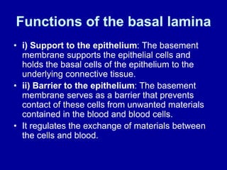 EPITHELIA TISSUES.ppt