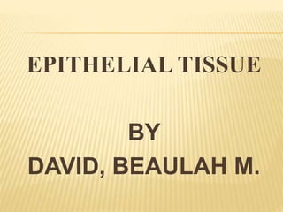 EPITHELIAL TISSUE
BY
DAVID, BEAULAH M.
 