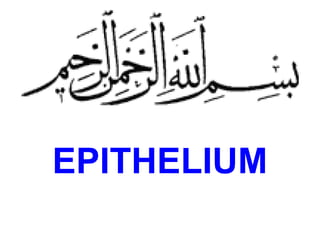 EPITHELIUM
 