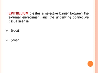 EPITHELIUM creates a selective barrier between the
external environment and the underlying connective
tissue seen in
 Blood
 lymph
 