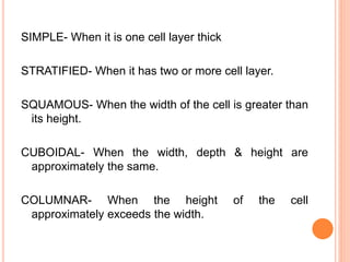 SIMPLE- When it is one cell layer thick
STRATIFIED- When it has two or more cell layer.
SQUAMOUS- When the width of the cell is greater than
its height.
CUBOIDAL- When the width, depth & height are
approximately the same.
COLUMNAR- When the height of the cell
approximately exceeds the width.
 