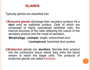 GLANDS
Typically glands are classified into:
1)Exocrine glands discharge their secretory product via a
duct onto an epithelial surface. Cells of which are
composed of highly specialized epithelial cells, the
internal structure of the cells reflecting the nature of the
secretory product and the mode of secretion.
Morphology: a)simple: single, unbranched duct.
b)compound: branched duct system.
2)Endocrine glands are ductless. Secrete their product
into the connective tissue where they enter the blood
stream to reach the target cells. The products of
endocrine glands are called hormone.
 