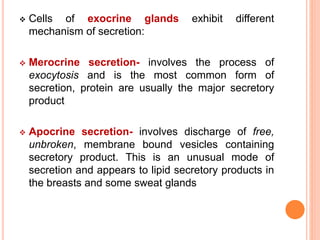  Cells of exocrine glands exhibit different
mechanism of secretion:
 Merocrine secretion- involves the process of
exocytosis and is the most common form of
secretion, protein are usually the major secretory
product
 Apocrine secretion- involves discharge of free,
unbroken, membrane bound vesicles containing
secretory product. This is an unusual mode of
secretion and appears to lipid secretory products in
the breasts and some sweat glands
 