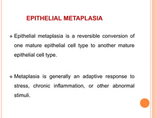 EPITHELIAL METAPLASIA
 Epithelial metaplasia is a reversible conversion of
one mature epithelial cell type to another mature
epithelial cell type.
 Metaplasia is generally an adaptive response to
stress, chronic inflammation, or other abnormal
stimuli.
 