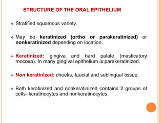 STRUCTURE OF THE ORAL EPITHELIUM
 Stratified squamous variety.
 May be keratinized (ortho or parakeratinized) or
nonkeratinized depending on location.
 Keratinized: gingiva and hard palate (masticatory
mocosa). In many gingival epithelium is parakeratinized.
 Non keratinized: cheeks, faucial and sublingual tissue.
 Both keratinized and nonkeratinized contains 2 groups of
cells- keratinocytes and nonkeratinocytes.
 