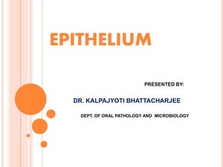 EPITHELIUM
PRESENTED BY:
DR. KALPAJYOTI BHATTACHARJEE
DEPT. OF ORAL PATHOLOGY AND MICROBIOLOGY
 