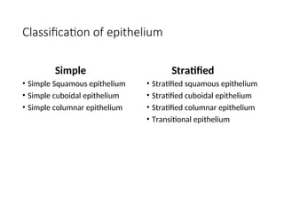 Transitional Vs Simple Columnar EPITHELIUM power point presentation with | PPT