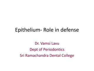 Epithelium- Role in defense
Dr. Vamsi Lavu
Dept of Periodontics
Sri Ramachandra Dental College
 