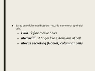 ■ Based on cellular modifications: (usually in columnar epithelial
cells)
– Cilia  fine motile hairs
– Microvilli  finger like extensions of cell
– Mucus secreting (Goblet) columnar cells
 