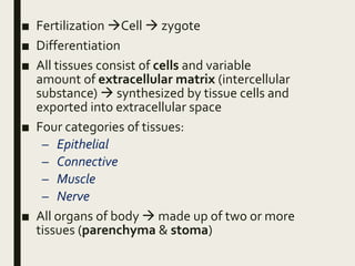 ■ Fertilization Cell  zygote
■ Differentiation
■ All tissues consist of cells and variable
amount of extracellular matrix (intercellular
substance)  synthesized by tissue cells and
exported into extracellular space
■ Four categories of tissues:
– Epithelial
– Connective
– Muscle
– Nerve
■ All organs of body  made up of two or more
tissues (parenchyma & stoma)
 