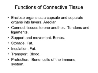 Functions of Connective Tissue

• Enclose organs as a capsule and separate
  organs into layers. Areolar
• Connect tissues to one another. Tendons and
  ligaments.
• Support and movement. Bones.
• Storage. Fat.
• Insulation. Fat.
• Transport. Blood.
• Protection. Bone, cells of the immune
  system.
 